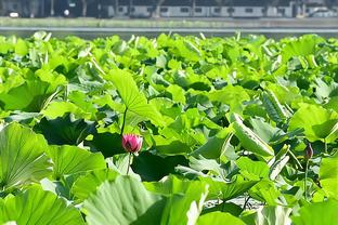 霍伊伦本场数据：2次错失良机，4射2正，1次中柱，3次关键传球