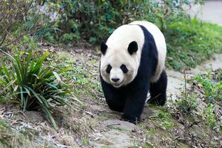 邮报：阿尔特塔写纸条让球员进攻西汉姆热点区域，但没有奏效